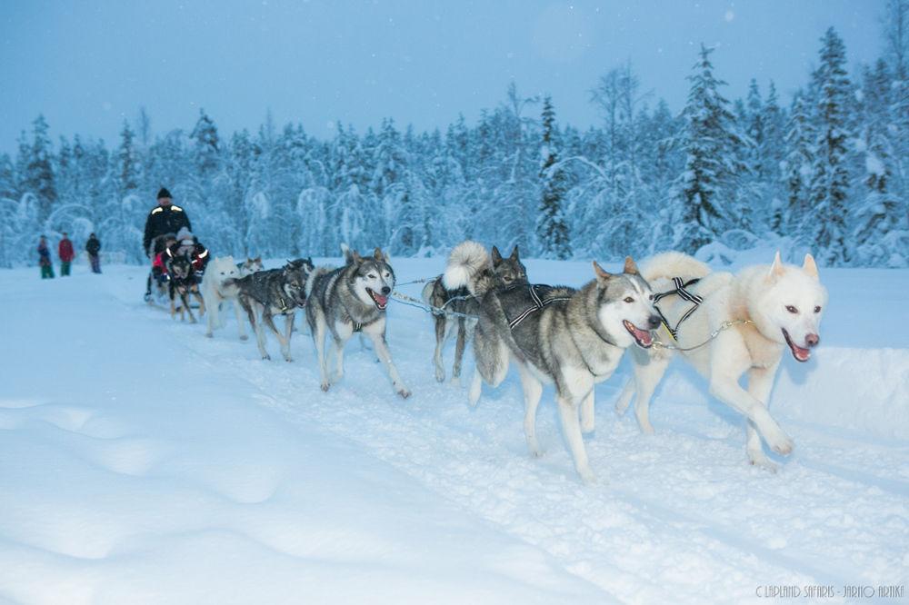 Lapland Hotels Snowvillage Yllasjarvi Ngoại thất bức ảnh