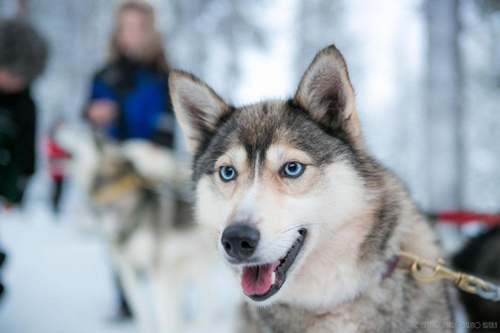 Lapland Hotels Snowvillage Yllasjarvi Ngoại thất bức ảnh