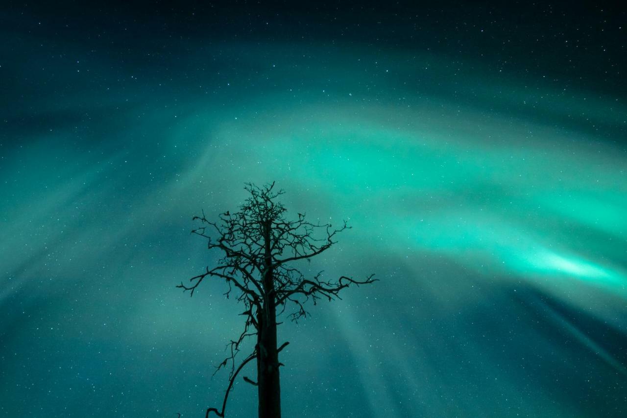 Lapland Hotels Snowvillage Yllasjarvi Ngoại thất bức ảnh